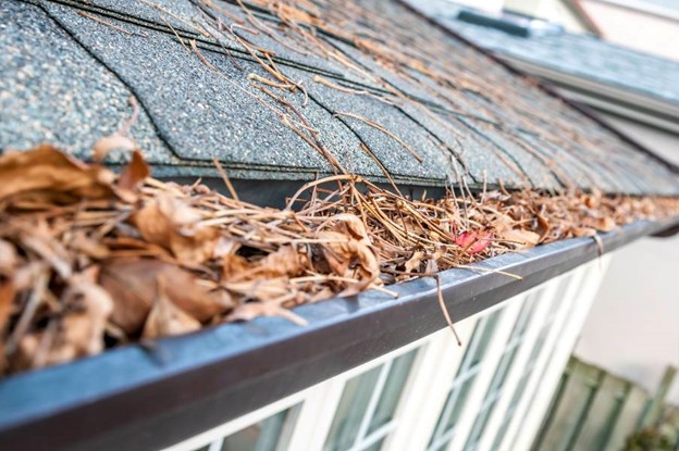 A close-up of a gutter