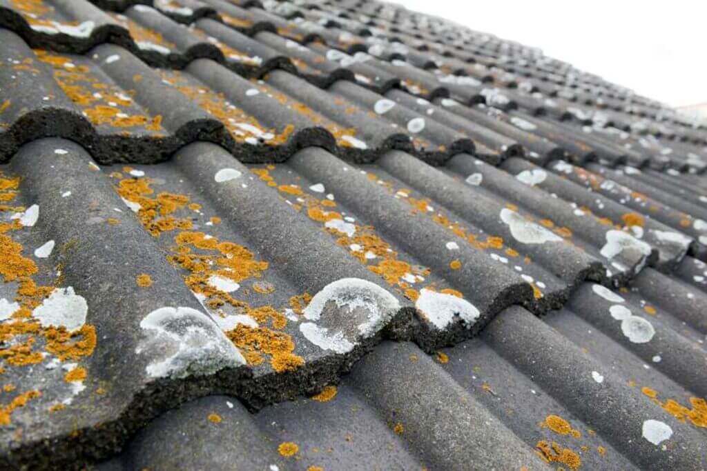 The roof is covered in moss and lichen, showcasing natural growth in South Florida's environment. 